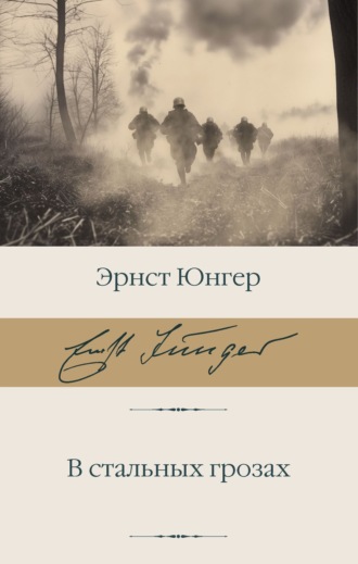 Обложка книги «В стальных грозах»