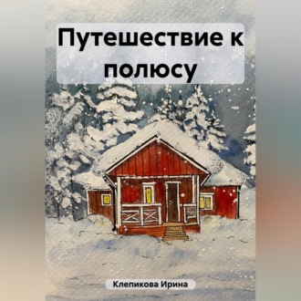 Обложка книги «Путешествие к полюсу»