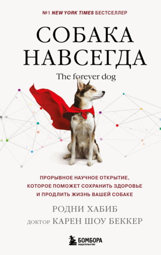 Обложка книги «Собака навсегда. The forever dog. Прорывное научное открытие, которое поможет сохранить здоровье и продлить жизнь вашей собаке»