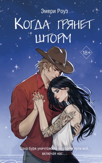 Обложка книги «Когда грянет шторм»