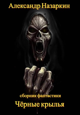 Обложка книги «Чёрные крылья»