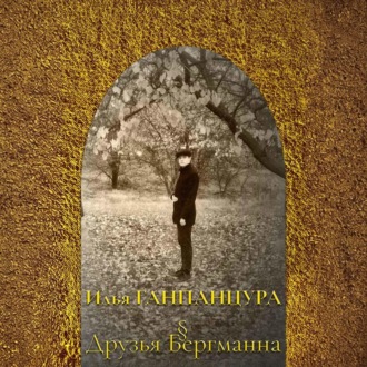 Обложка книги «Друзья Бергманна»