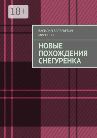 Обложка книги «Новые похождения Снегуренка»