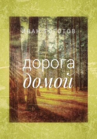 Обложка книги «Дорога домой»