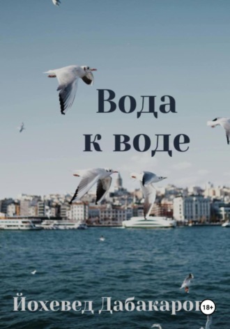 Обложка книги «Вода к воде»