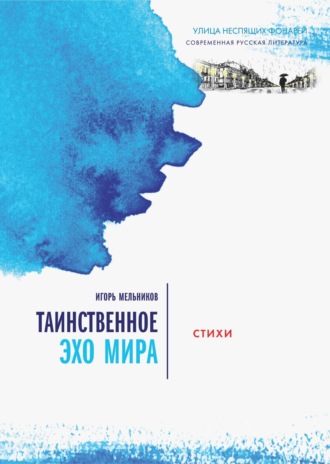 Обложка книги «Таинственное эхо мира»