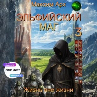 Обложка книги «Эльфийский маг. Жизнь вне жизни»