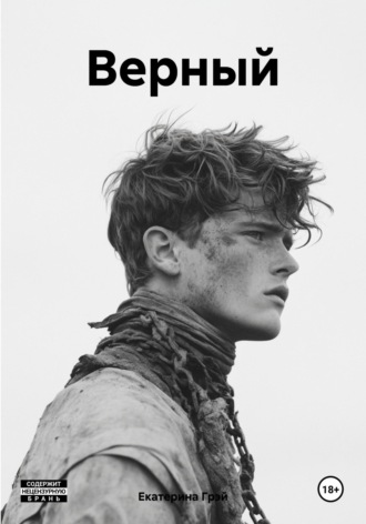 Обложка книги «Верный»