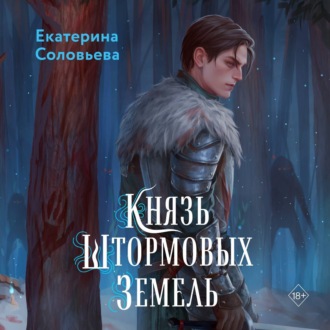 Обложка книги «Князь Штормовых Земель»