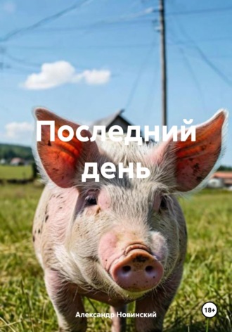 Обложка книги «Последний день»