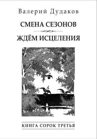 Обложка книги «Cмена сезонов. Ждём исцеления. Книга сорок третья»