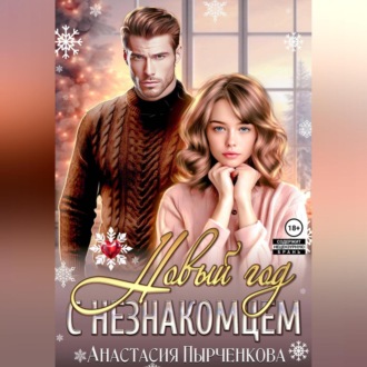 Обложка книги «Новый год с незнакомцем»