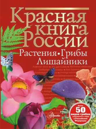 Обложка книги «Красная книга России. Растения, грибы, лишайники»