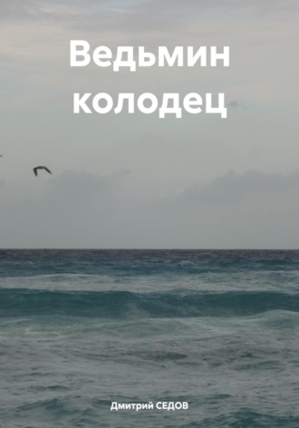 Обложка книги «Ведьмин колодец»