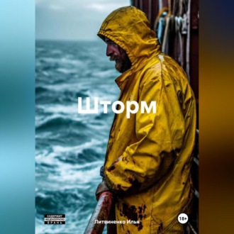 Обложка книги «Шторм»