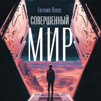 Обложка книги «Совершенный мир»