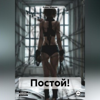 Обложка книги «ПОСТОЙ!»
