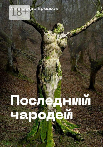 Обложка книги «Последний чародей»