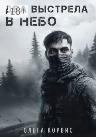 Обложка книги «Два выстрела в небо»