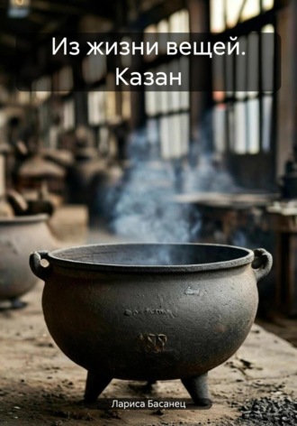 Обложка книги «Из жизни вещей. Казан»