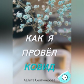 Обложка книги «Как я провёл ковид»