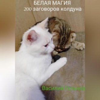 Обложка книги «Белая магия. 200 заговоров колдуна»