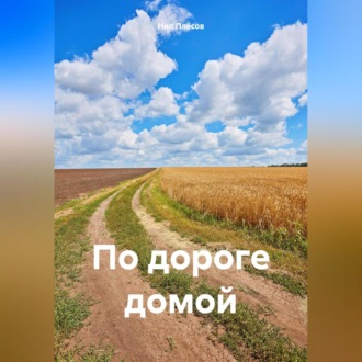 Обложка книги «По дороге домой»