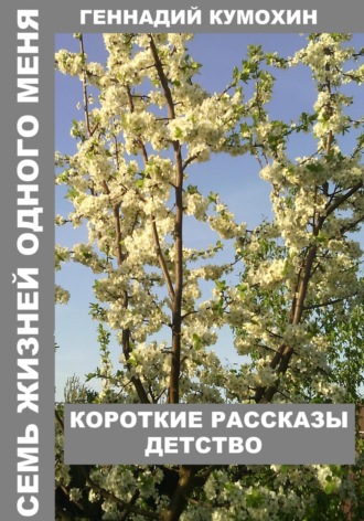 Обложка книги «Семь жизней одного меня. Короткие рассказы. Детство»