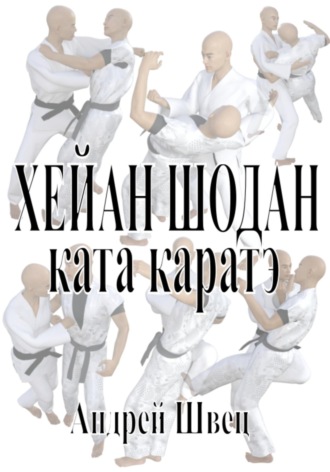Андрей Владимирович Швец. Хейан Шодан. Ката каратэ