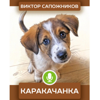 Обложка книги «Каракачанка»