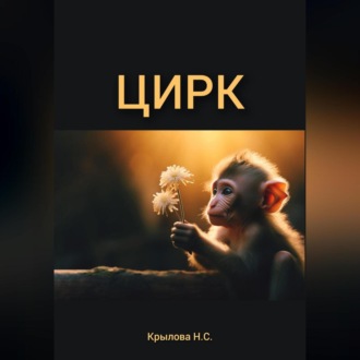 Обложка книги «ЦИРК»