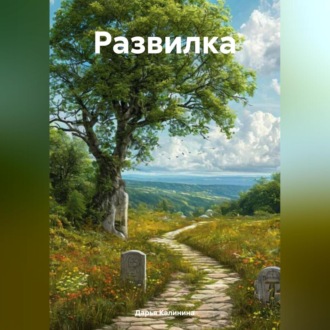 Обложка книги «Развилка»