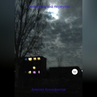 Обложка книги «Синеутровский переулок»