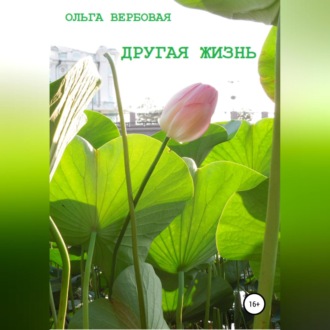 Обложка книги «Другая жизнь»