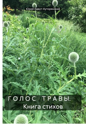 Обложка книги «Г О Л О С Т Р А В Ы. Книга стихов»
