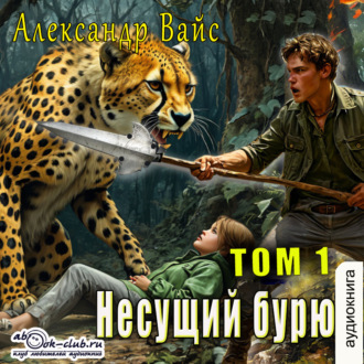 Обложка книги «Несущий бурю. Том I»