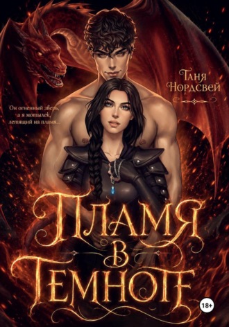 Обложка книги «Пламя в темноте»