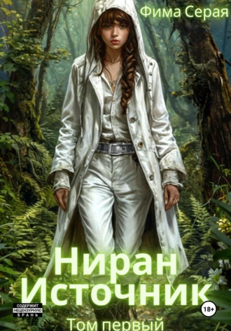 Обложка книги «Ниран. Источник»