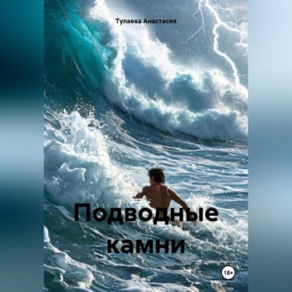 Обложка книги «Подводные камни»