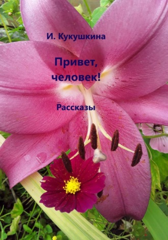 Обложка книги «Привет, человек! Рассказы»