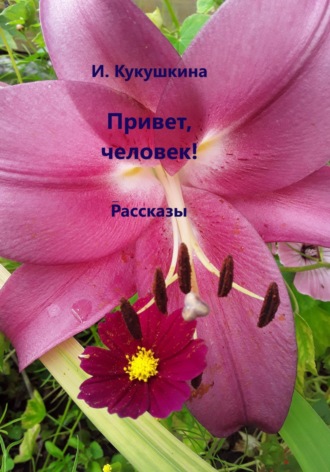 Ирина Анатольевна Кукушкина. Привет, человек! Рассказы