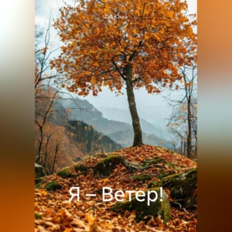 Обложка книги «Я – Ветер!»
