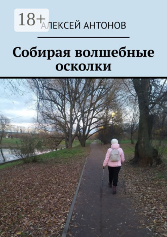 Обложка книги «Собирая волшебные осколки»