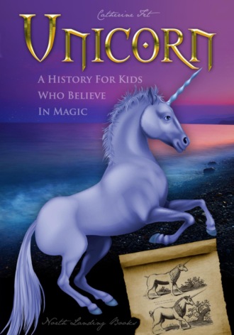 Обложка книги «Unicorn. A History for Kids Who Believe in Magic»