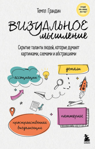 Обложка книги «Визуальное мышление. Скрытые таланты людей, которые думают картинками, схемами и абстракциями»