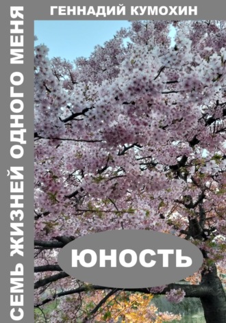 Обложка книги «Семь жизней одного меня. Юность»