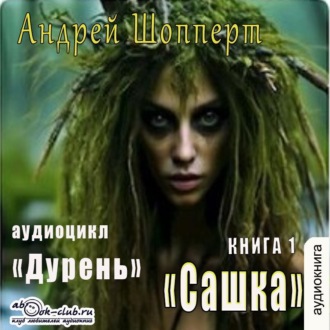 Обложка книги «Дурень. Книга первая. Сашка»