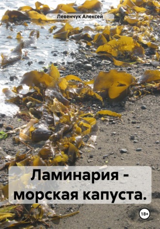 Обложка книги «Ламинария – морская капуста»