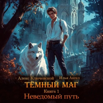 Обложка книги «Тёмный маг. Книга 1. Неведомый путь»