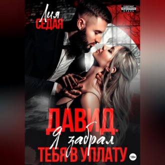 Обложка книги «Давид. Я забрал тебя в уплату»